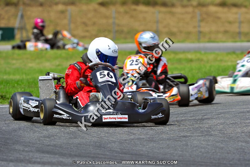 DSC_ (262).jpg